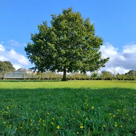 Casa Bartulo Ferienhaus