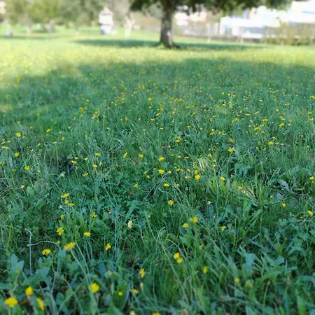 Casa Bartulo Casa vacanze Castrofeito