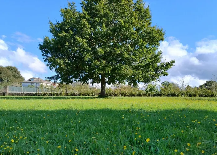 Casa Bartulo Vakantiehuis