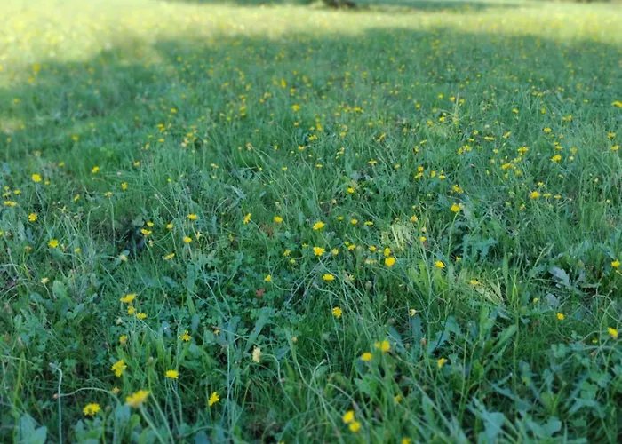 Casa Bartulo Vakantiehuis Castrofeito