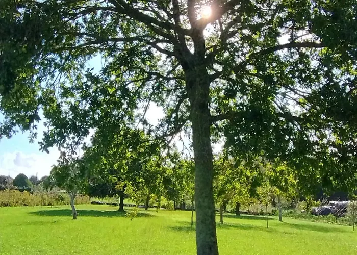Hébergement de vacances Casa Bartulo