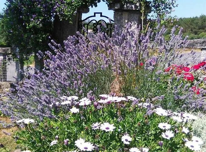 Casa Bartulo Vakantiehuis